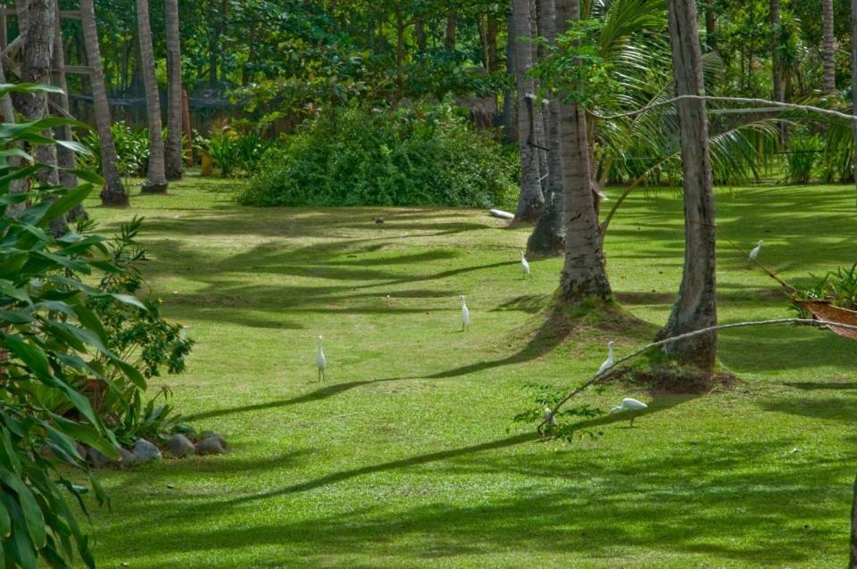 Crystal Paradise Resort Spa & Winery Narra Екстериор снимка