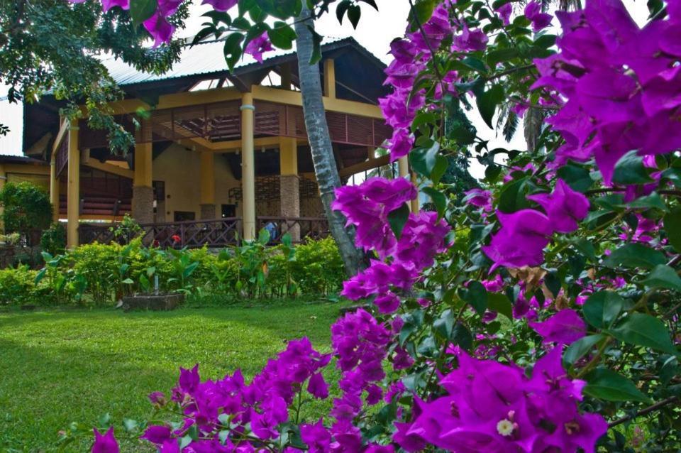 Crystal Paradise Resort Spa & Winery Narra Екстериор снимка